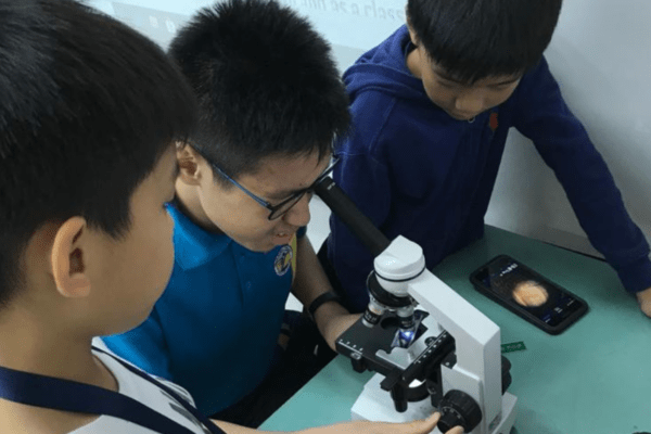 This Image is About 3 Boys Microscope