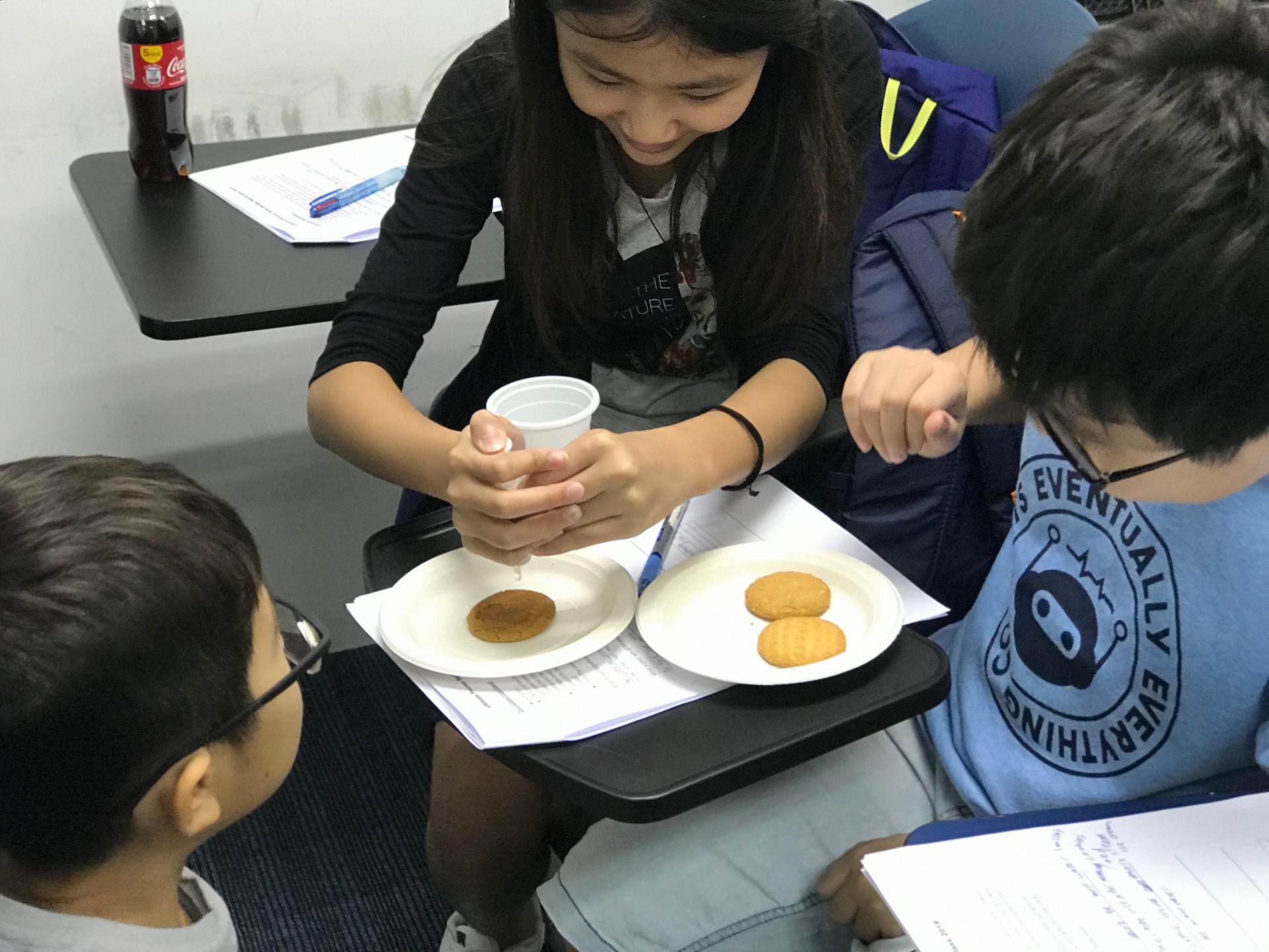 Image of Biscuit Experiment