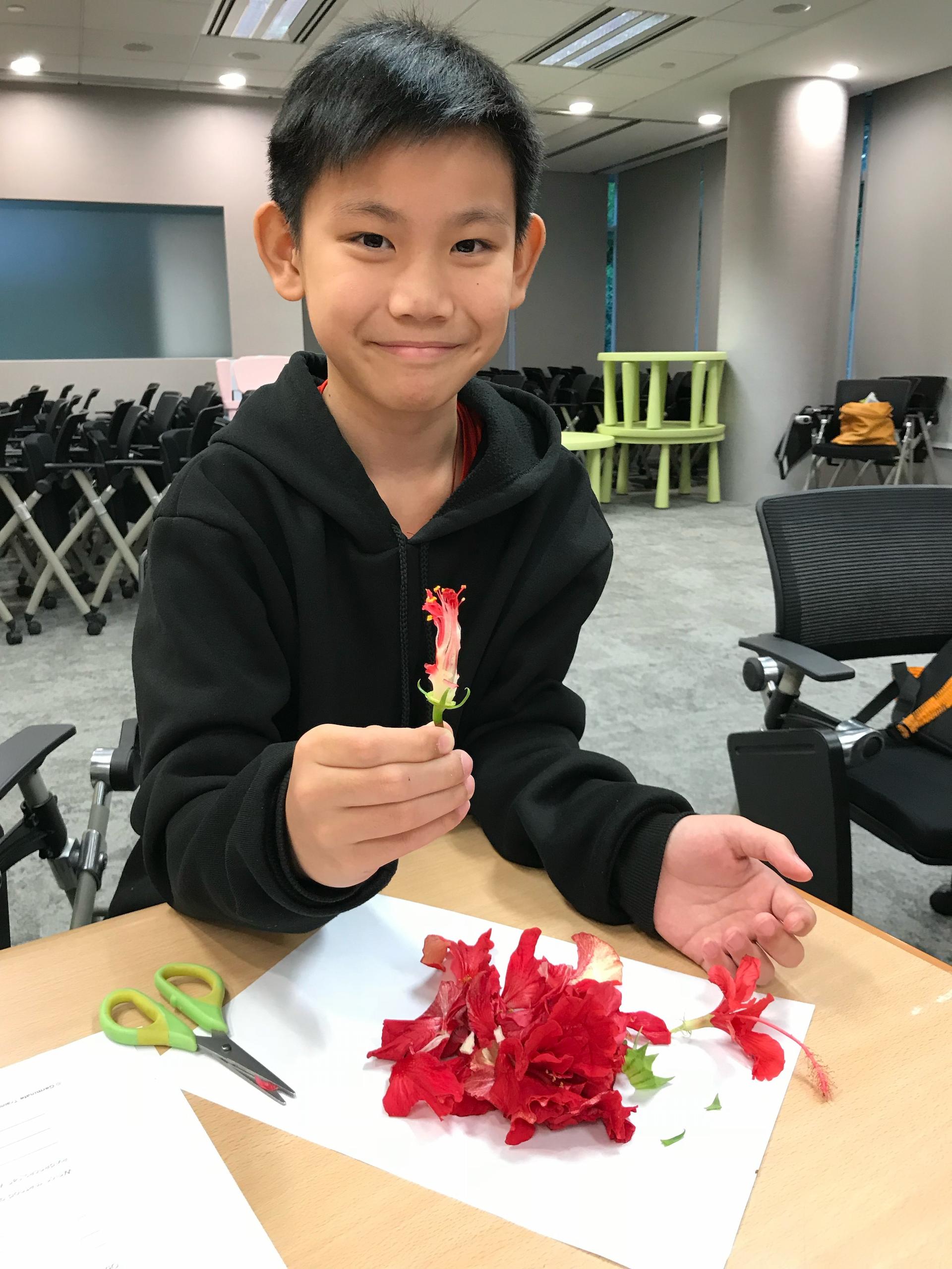 Image of Flower Practice