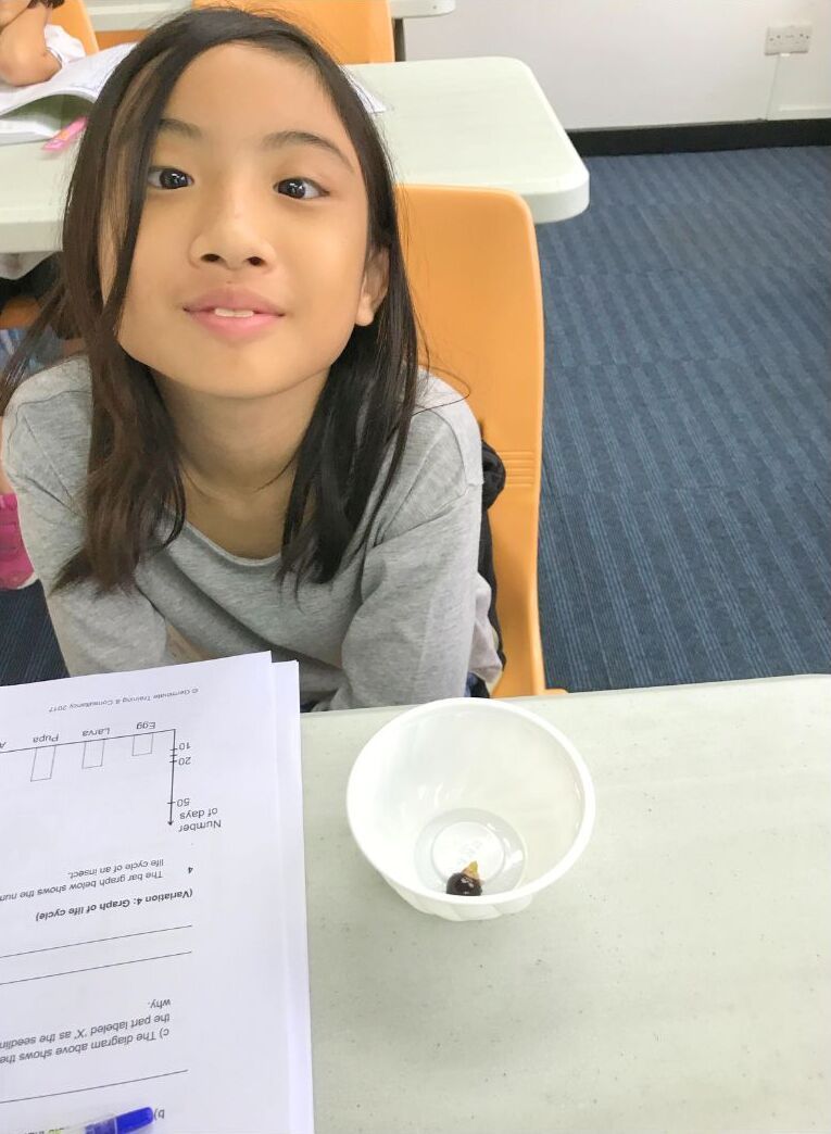 This Is A Image of Germinate Advantage Student 2