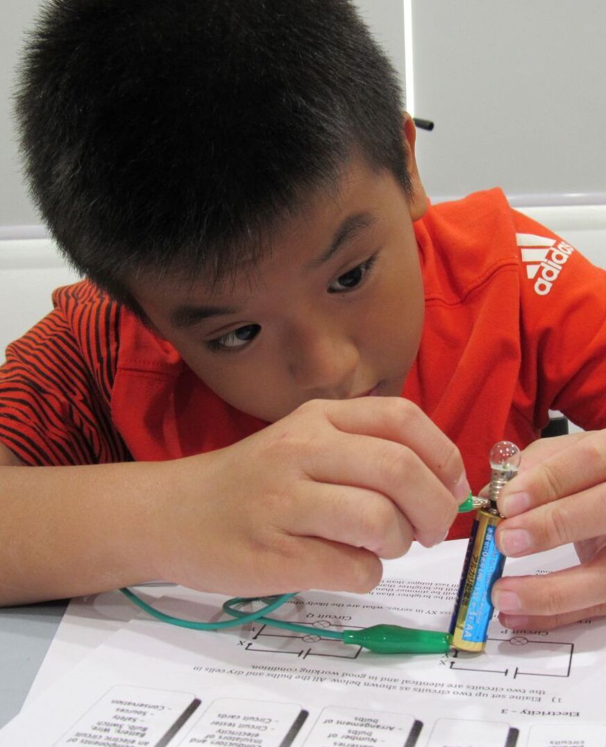 This Is A Image of Germinate Advantage Student 6