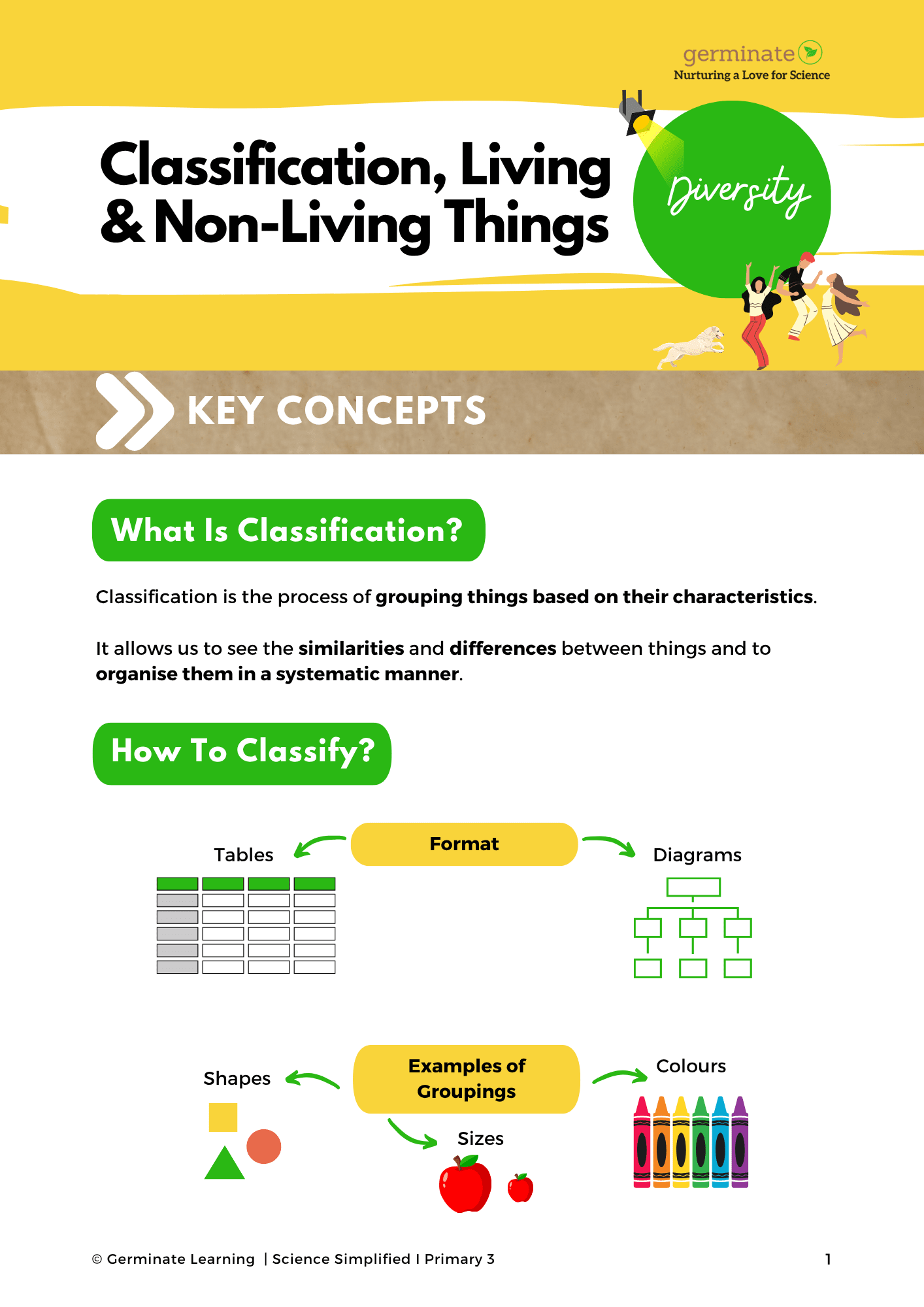 Primary 3 Science Simplified Concise Revision Guide - Image 2