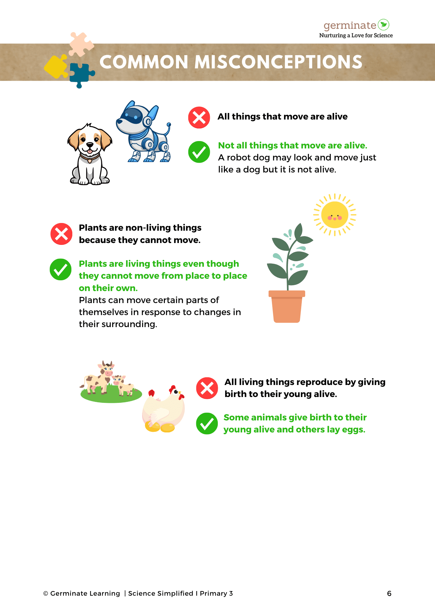 Primary 3 Science Simplified Concise Revision Guide - Image 3