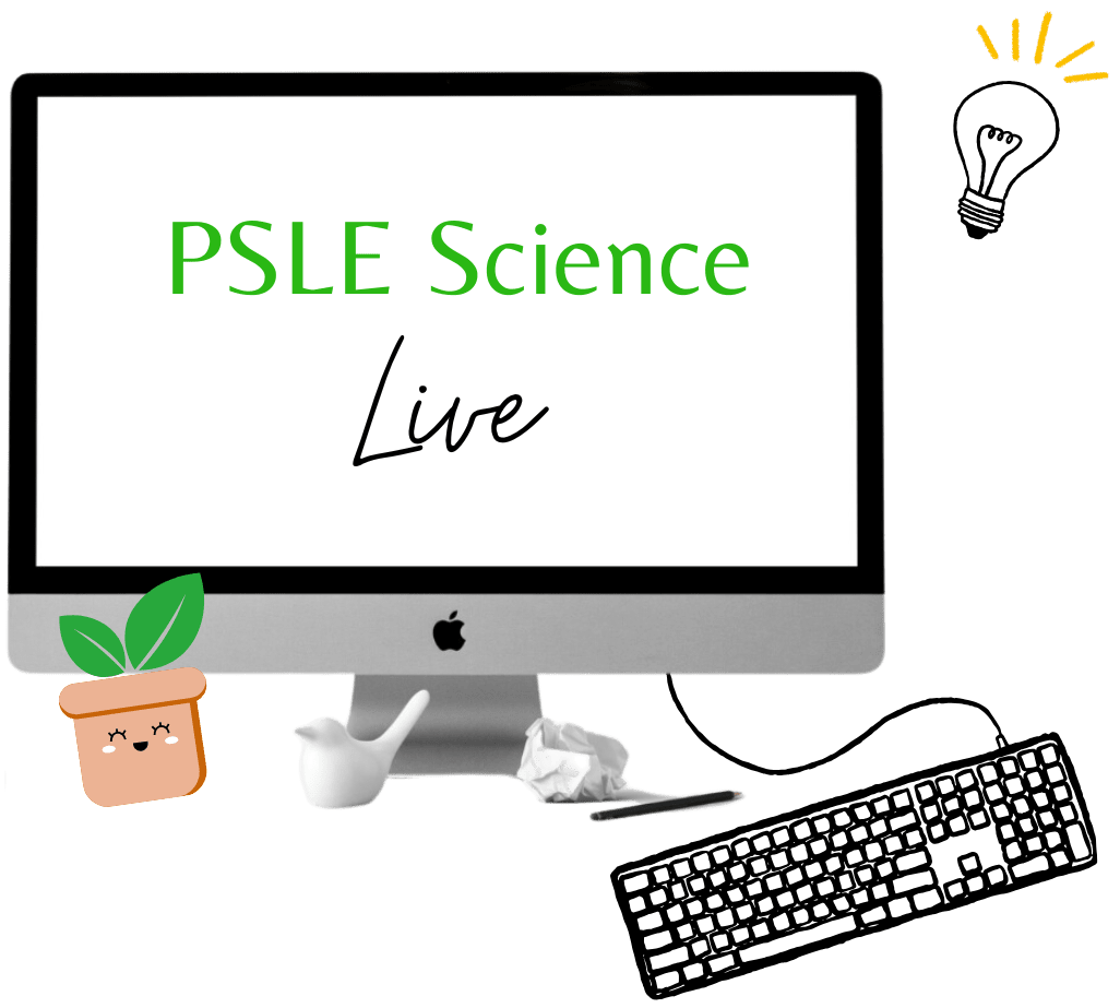 This Image is About PSLELive