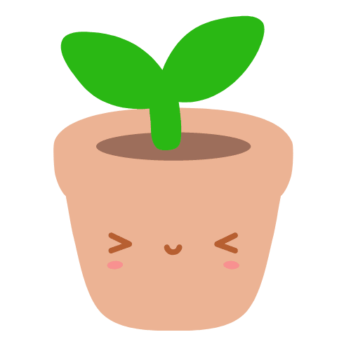 This is a image of Primary 3 Plant