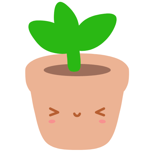 This is a image of Primary 4 Plant