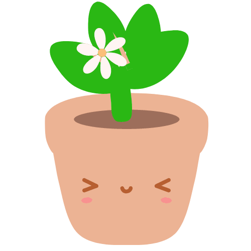 This is a image of Primary 5 Plant