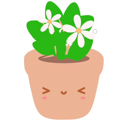 This is a image of Primary 6 Plant