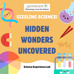 Sizzling Science: Hidden Wonders Uncovered