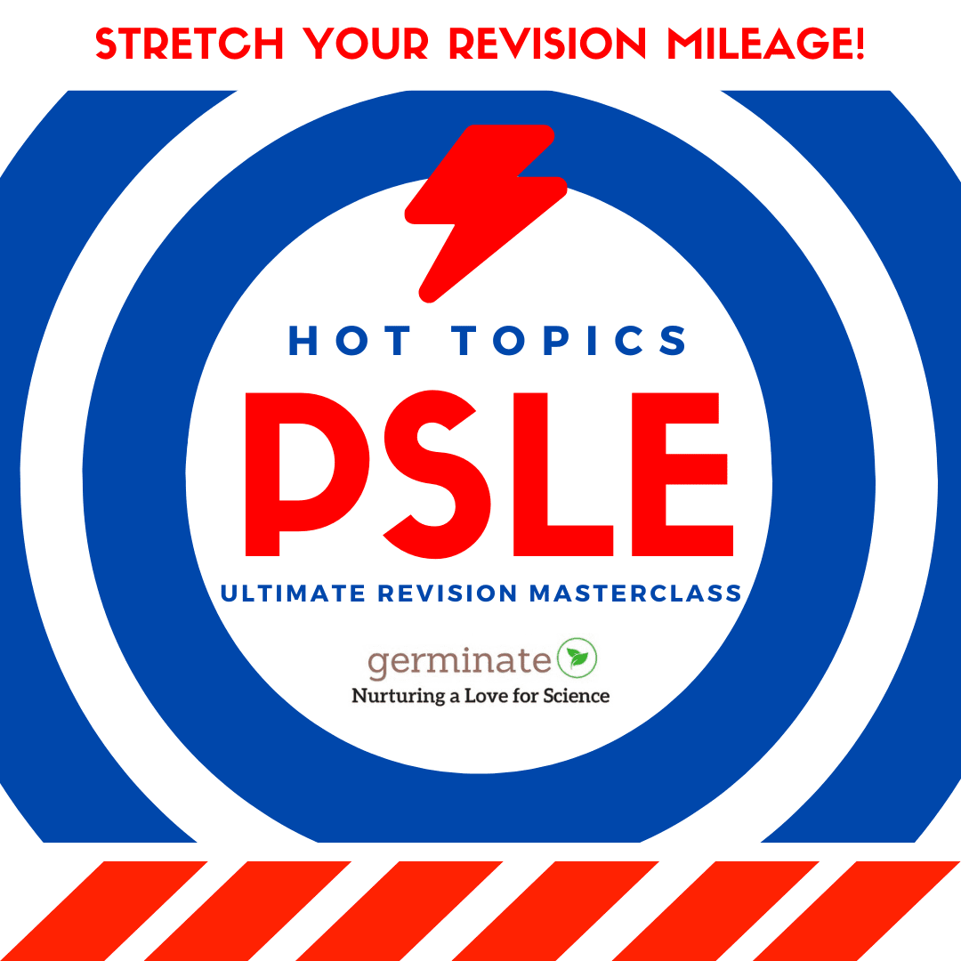 This Image is About Ultimate Revision Masterclass