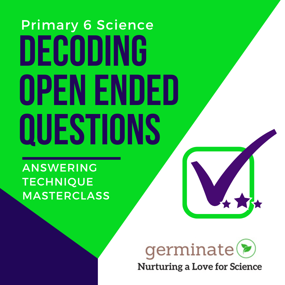 This Image is About Answering Technique Masterclass P6