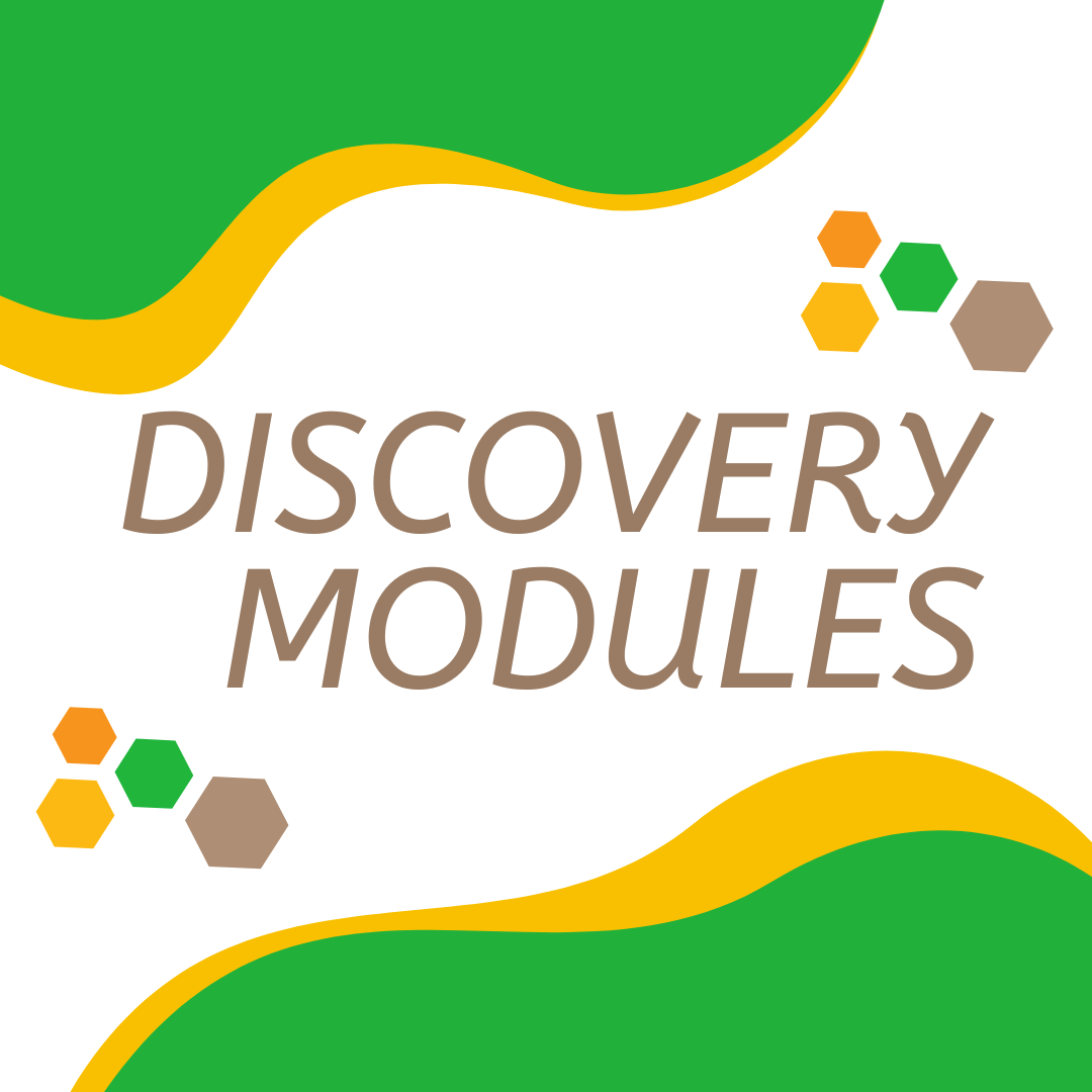 This Image is About Discovery Modules