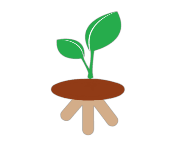 Icon of Concept Veed